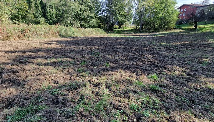 Parco 5 laghi di Ivrea, da oltre un mese bloccato il contenimento dei cinghiali