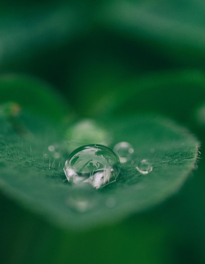 Depuratore d'acqua: quali sono i benefici?