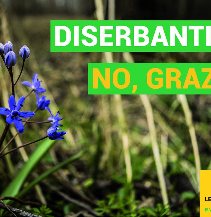 Appello di Legambiente ai Sindaci: “Basta diserbanti tossici, le alternative ci sono”