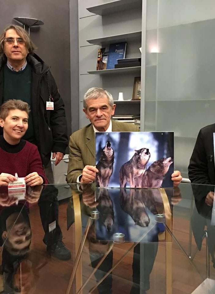 Chiamparino incontra i comitati a difesa dei lupi:&quot;Vanno protetti e salvaguardati&quot;