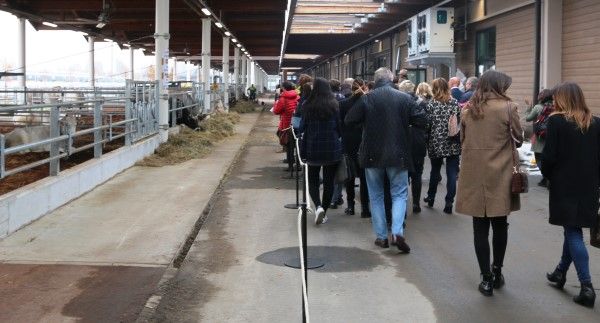 foto di repertorio