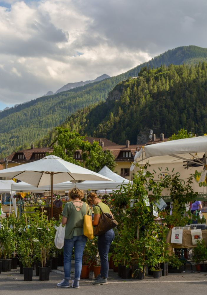 Flor sale in alta quota e dà appuntamento il 30 giugno a Bardonecchia