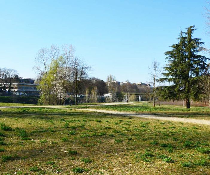Un workshop per imparare a produrre velocemente nuovo suolo urbano
