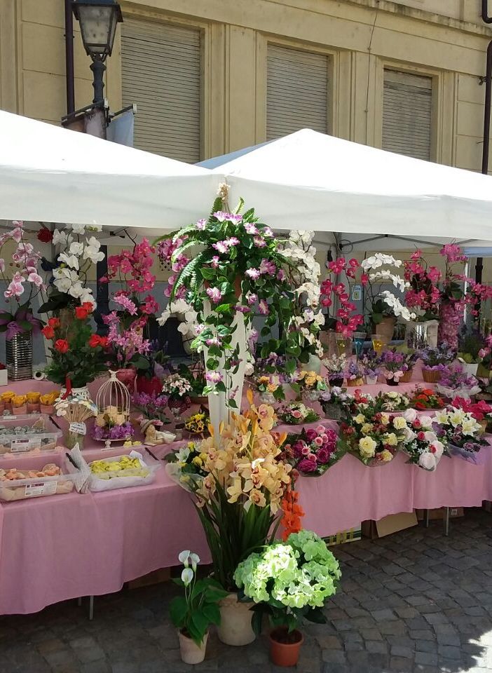 Da 15 anni a Venaria Reale, il weekend è dedicato Festa delle Rose...! (Foto e Video)