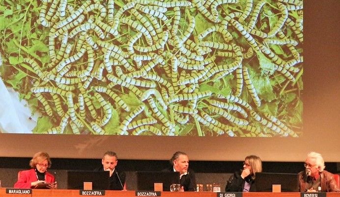 Prepariamoci a mangiare grilli e cavallette (FOTO E VIDEO)