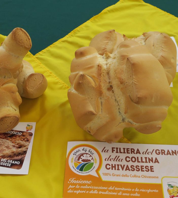 Coldiretti valorizza il grano della tradizione: due nuove filiere a Chivasso e Stupinigi