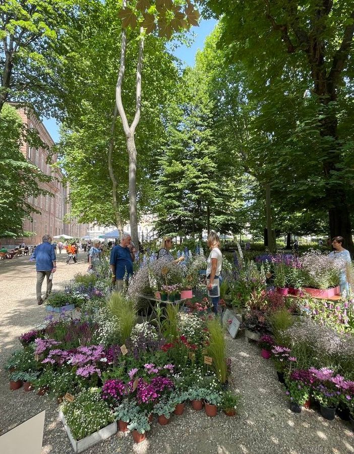 Da oggi Flor profuma e colora i Giardini Reali di Torino