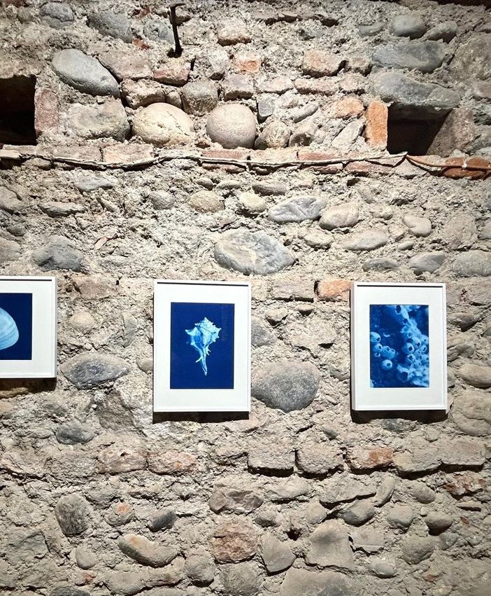 Tra passato e presente con la Fotografia Alchemica: 9 artisti per 16 tecniche diverse