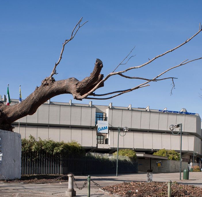 Appuntamenti alla Fondazione Torino Musei sabato 12, domenica 13 e lunedì 14 ottobre 2019