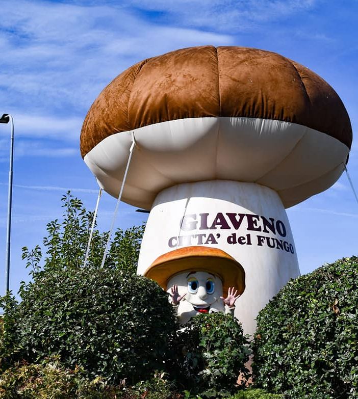 Giaveno si prepara a diventare la capitale dei funghi