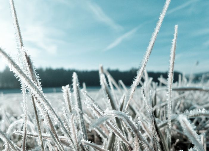 Coldiretti Piemonte: sos acqua con Po ridotto di 1/3 rispetto al 2021