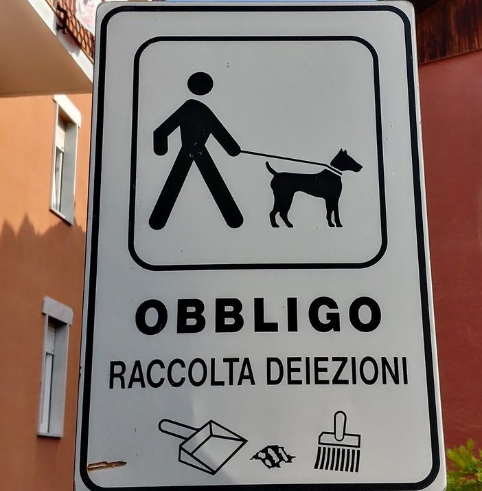 foto d'archivio