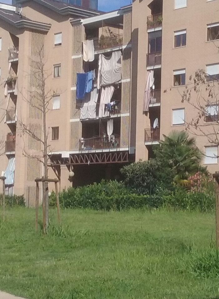 Alberi morti in alcune zone della Circoscrizione 6: siccità o terreni tossici?