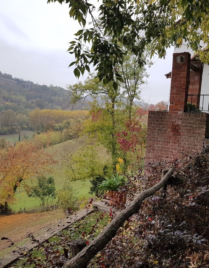 Domenica finissage della mostra “6 pittori” e inaugurazione del “Giardino degli Artisti&quot; a Pavarolo