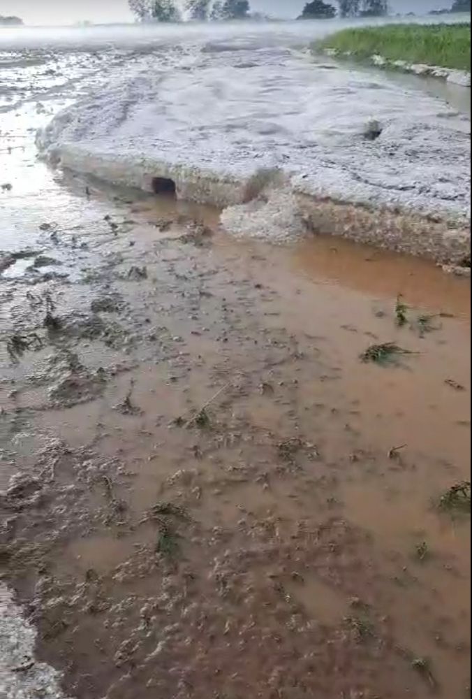 Grandinate sulla zona Sud del Torinese, ingenti danni alle colture