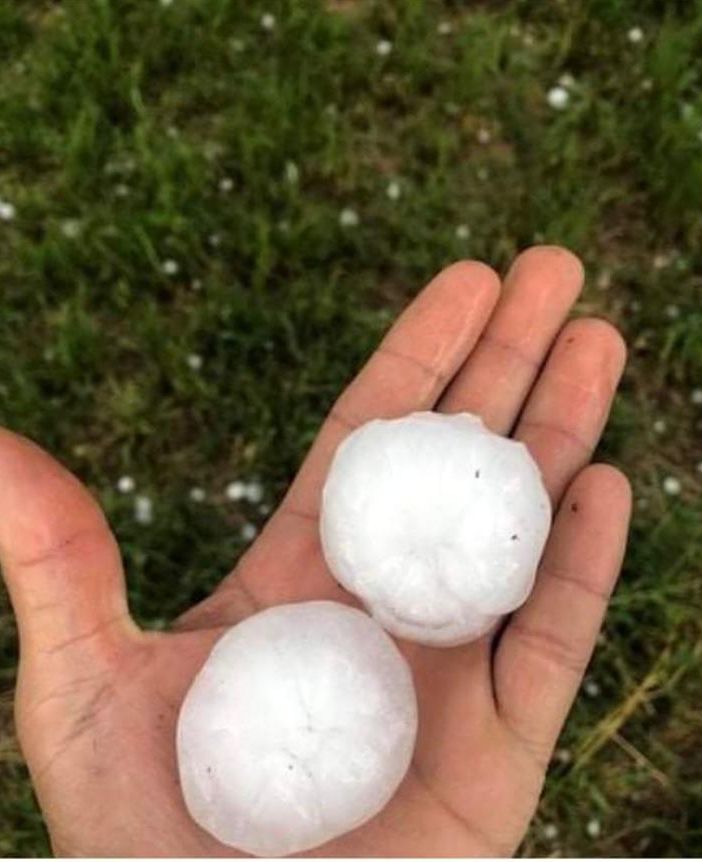 Maltempo, Confagricoltura Piemonte: &quot;Le assicurazioni da sole non bastano più&quot;