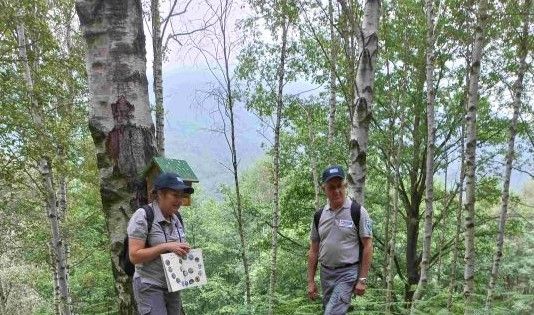 Dal 9 aprile il nuovo corso di formazione per le aspiranti Guardie Ecologiche Volontarie