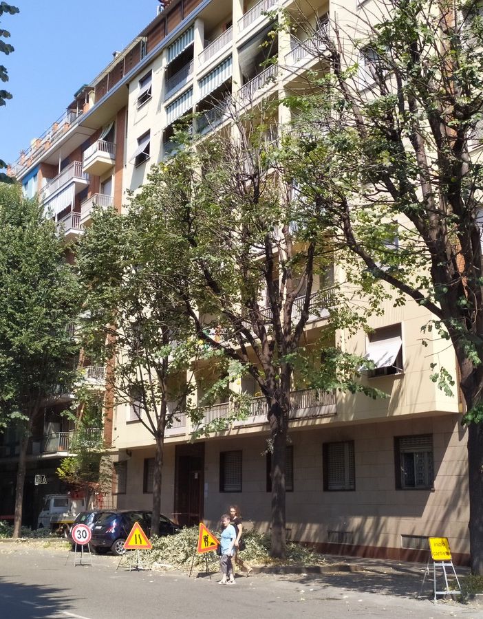 Corso Brescia si rifà il look con la potatura degli alberi
