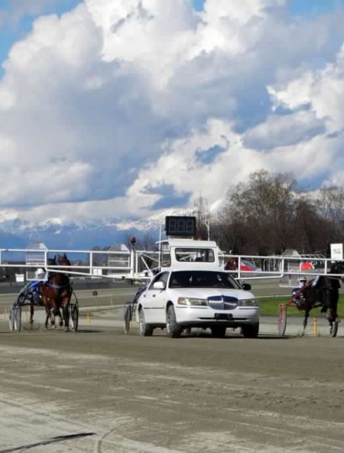 All'ippodromo di Vinovo il Campionato Gentlemen Piemontese