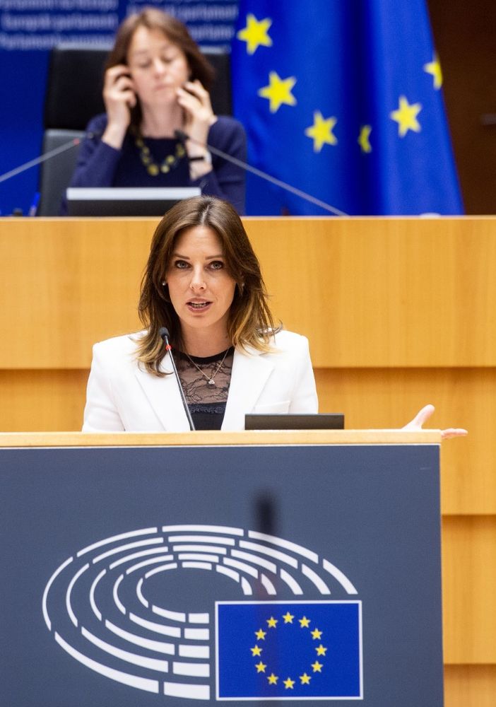 UE, Tovaglieri (Lega), occasione mancata da UE, su cyberviolenza approccio troppo ideologico 