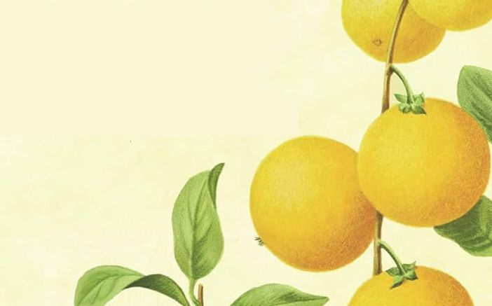 &quot;La salute è nelle tue mani&quot;: domenica presentazione del libro a Villarbasse
