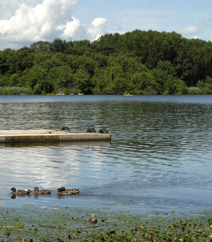 &quot;Puliamo il mondo&quot; al lago di Candia e nel parco dei Monti Pelati