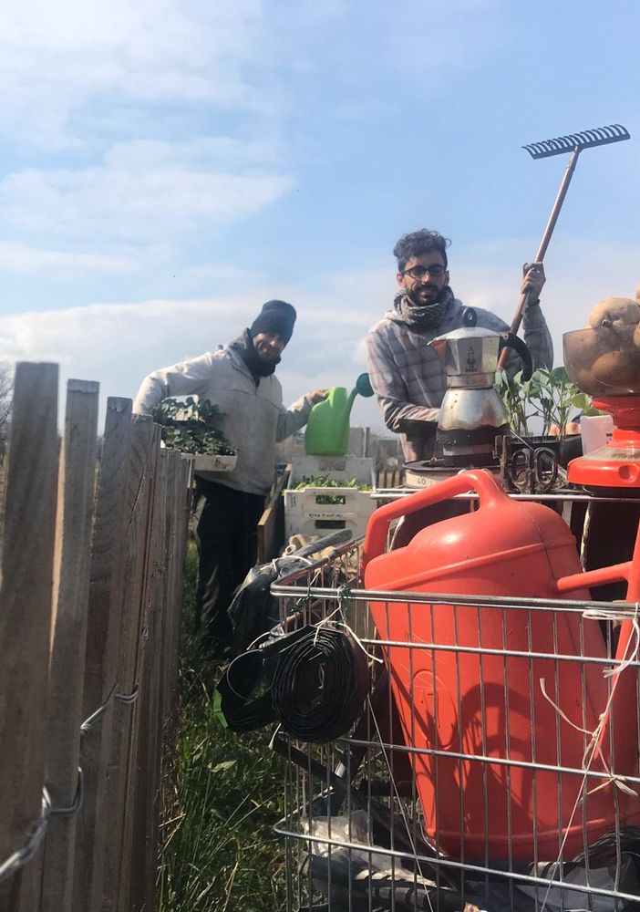 Mirafiori Sud inaugura la tele-coltivazione: &quot;Ci prendiamo cura del vostro orto urbano a distanza&quot;
