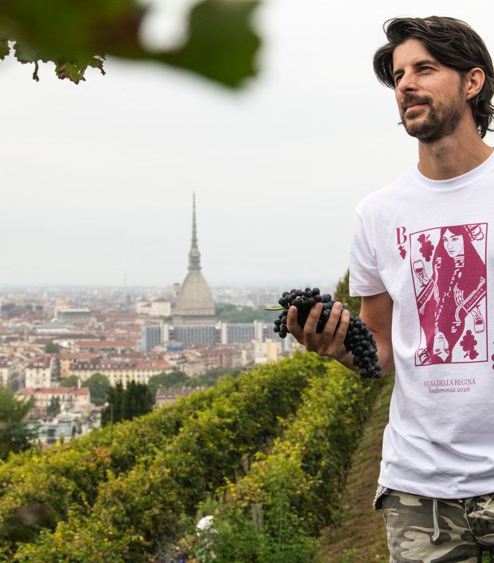 Terminata la vendemmia a Villa della Regina: in cantina circa 50 quintali di uve Freisa