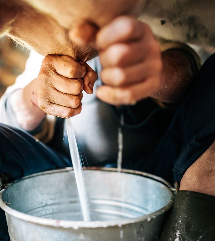 Coldiretti Piemonte: incentivare la produzione di polvere di latte &quot;Made in Italy”