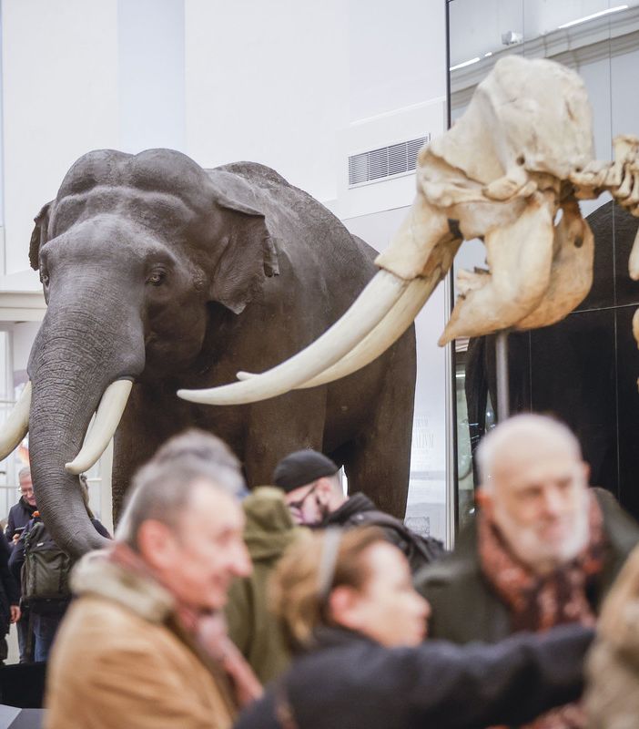 Quasi 50 mila prenotazioni nelle prime tre settimane di riapertura del Museo di Scienze Naturali