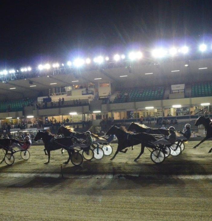 Ippodromo di Vinovo, la notte del Gran Premio Nazionale, di mille eventi collaterali... e di Roberto Vecchioni