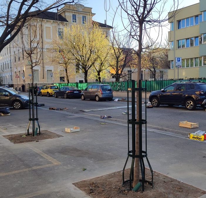 Nuovi alberi nei mercati di corso Svizzera e piazza Barcellona