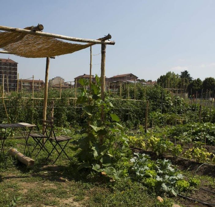 AmbientAzioni 2022, scelto il progetto “Irrigazione responsabile” per gli orti urbani di Mirafiori Sud
