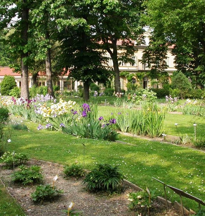 Gli eventi in programma a febbraio all'Orto Botanico di Torino
