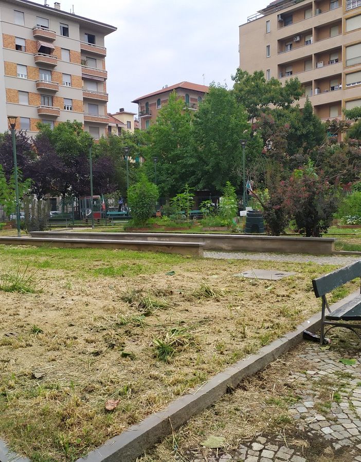 Piazza Risorgimento: “Dopo la giungla c'è il deserto”