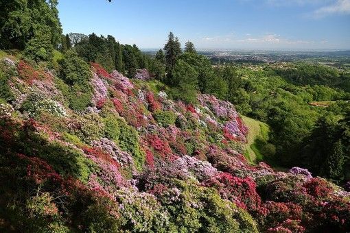 Quarantenne torinese accusa un malore al Parco Burcina, recuperata dal Soccorso Alpino