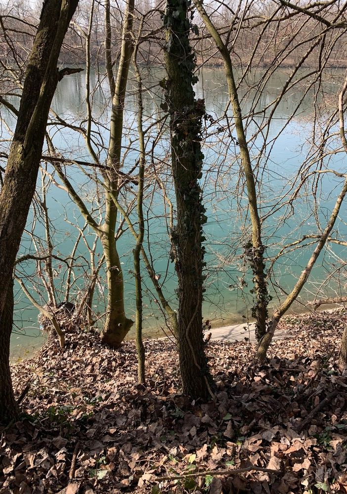 il luogo della caduta al parco del Meisino