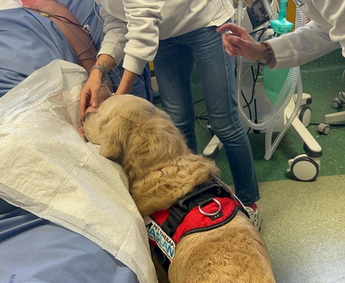 Come la pet therapy può aiutare i pazienti dell'ospedale di Rivoli