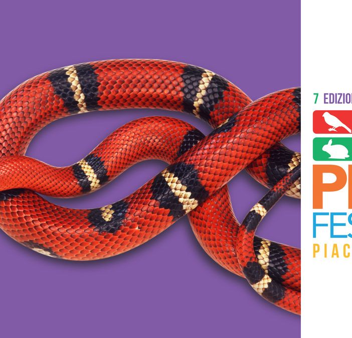 Vieni a conoscere rettili e anfibi a Petsfestival 2019