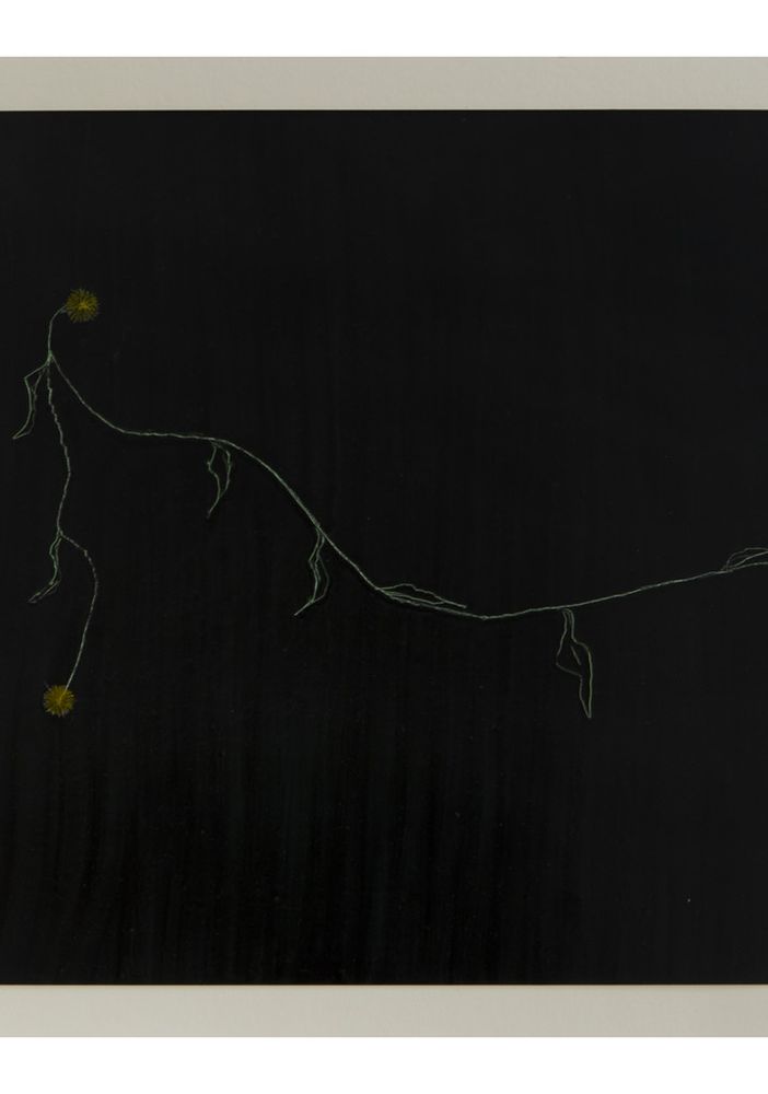 Vincenzo Agnetti, Photo-graffia, 1980