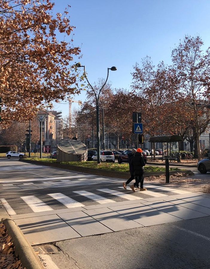 L'appello di Pierlucio Firrao (Torino Bellissima)