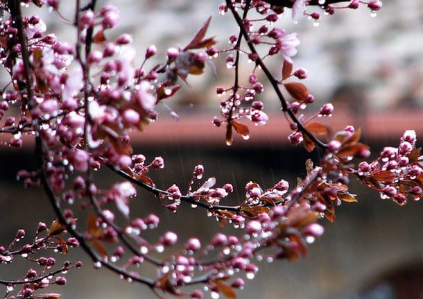 Maltempo e calo delle temperature per i prossimi giorni, poi migliora nel weekend