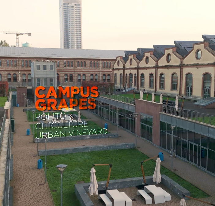 Nasce la prima vigna urbana all’interno del Politecnico di Torino