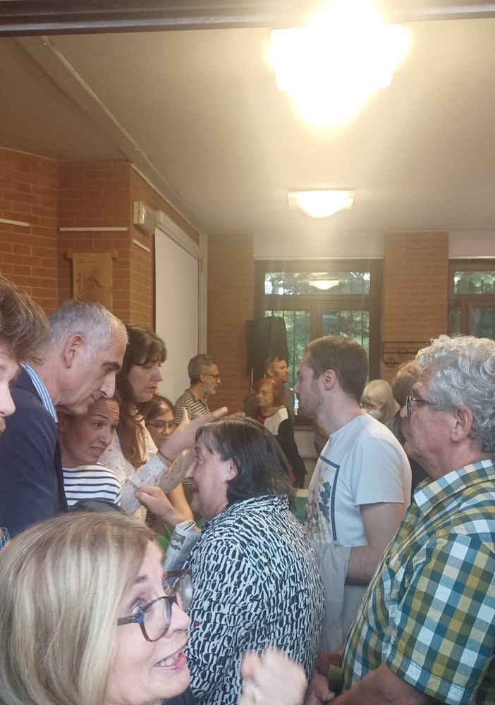 Alberi abbattuti in corso Belgio, Tresso contestato: progetto esposto tra le urla [VIDEO]