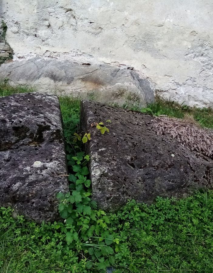 Alla ricerca del senno di Orlando