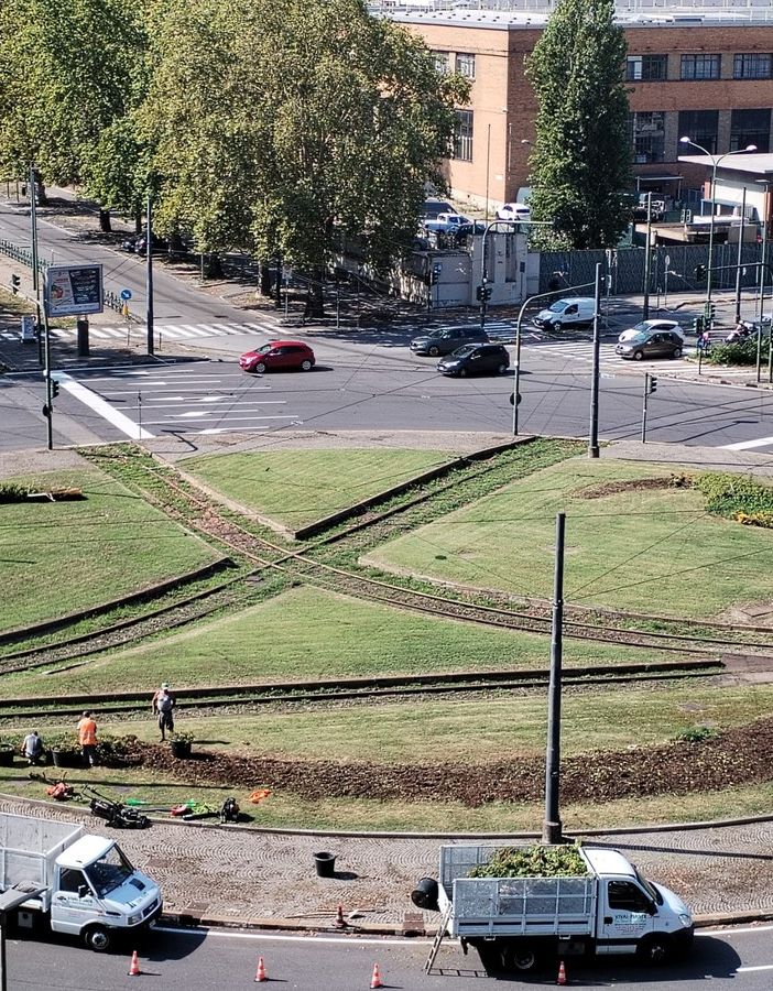 Bruciata dal sole l'onda gialla di fiori che aveva accolto i ciclisti del Tour a Torino