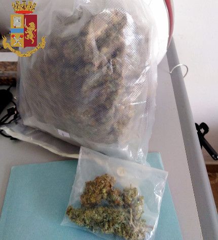 Spaccio, teneva oltre 400 grammi di marijuana in casa nel quartiere San Donato: arrestato