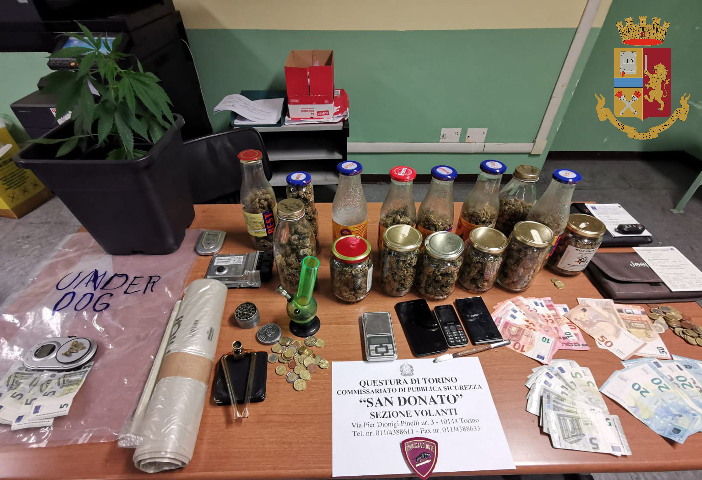 Torino, prepara la “conserva” di marijuana: arrestato