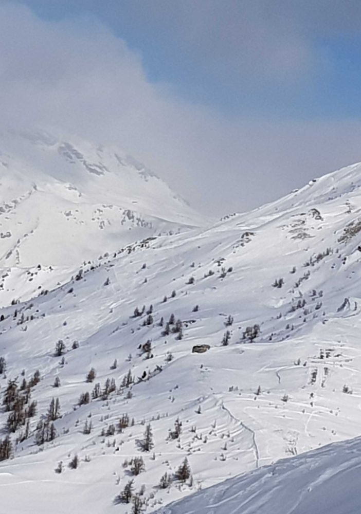 A Sauze d’Oulx sabato 3 marzo una giornata per la tutela del leopardo delle nevi