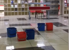Acqua a Palazzo Nuovo, piove dal soffitto: biblioteca Tabacco inagibile